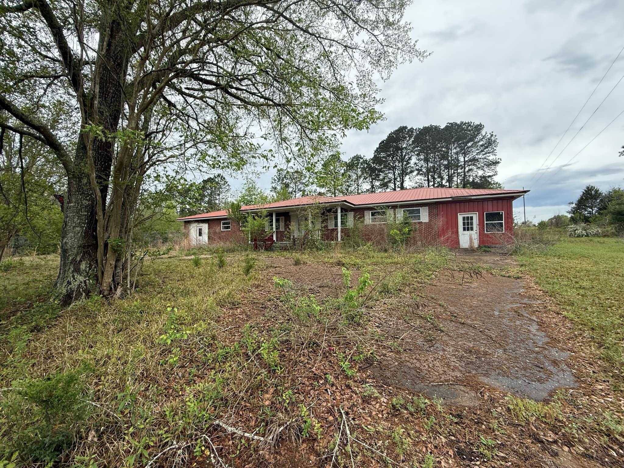 1951 Caton Road Florala, AL 36442 - Photo 1 of 34 a view of a house with a yard