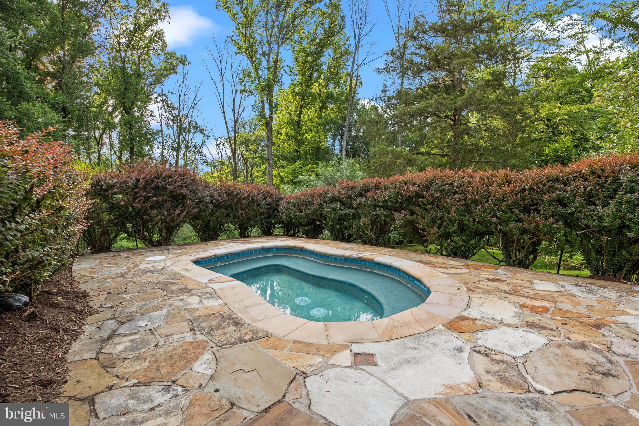 175 Pleasant Valley Road Titusville, NJ 08560 - Photo 118 of 137 Secluded Hot Tub