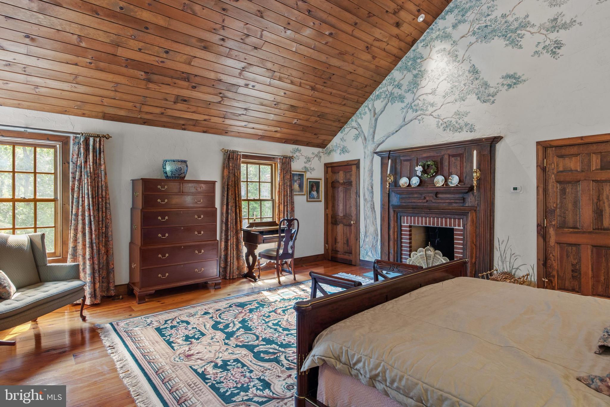 175 Pleasant Valley Road Titusville, NJ 08560 - Photo 43 of 137 1st Master Bedroom w/Fireplace View
