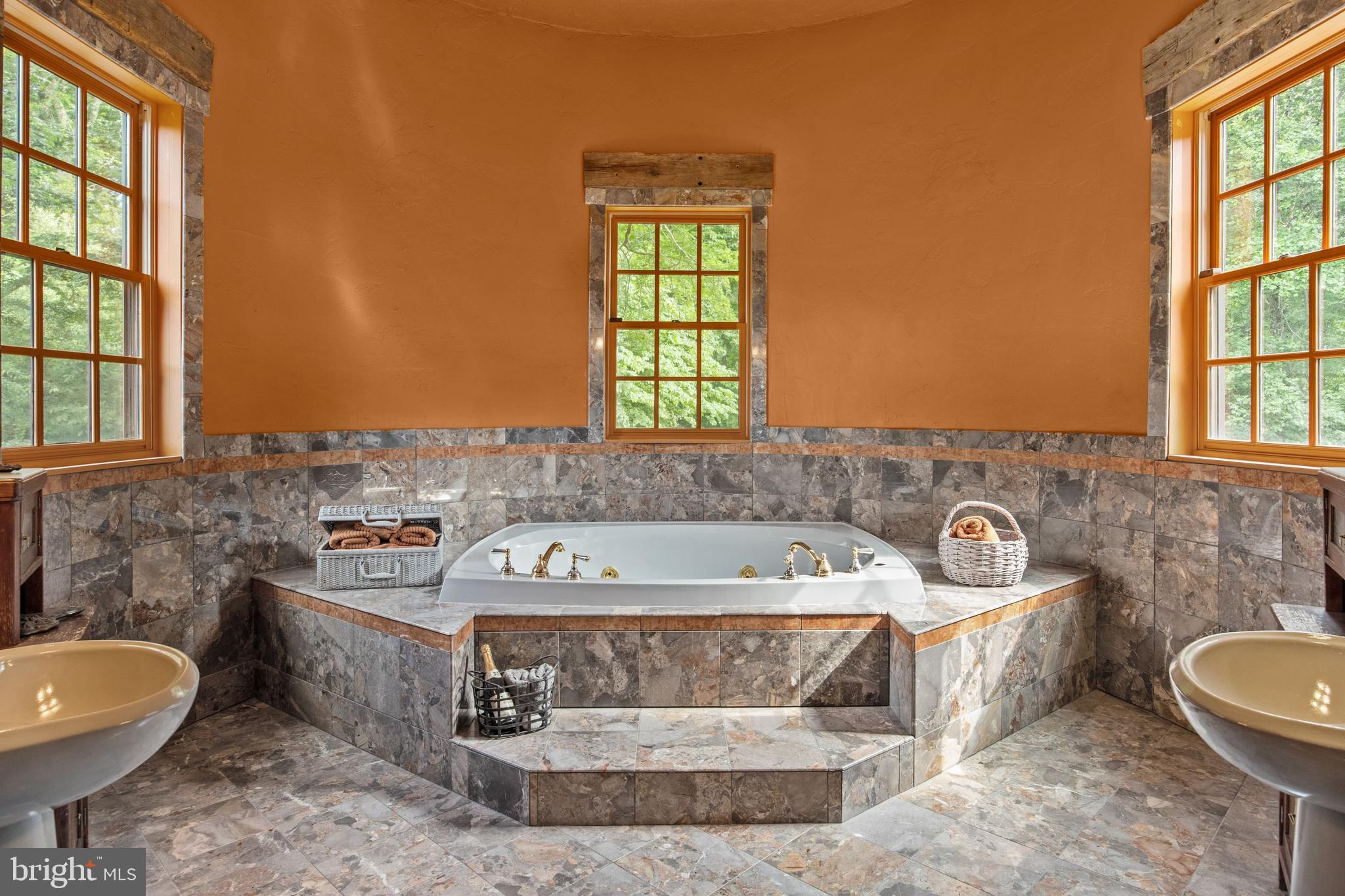 175 Pleasant Valley Road Titusville, NJ 08560 - Photo 46 of 137 1st Master Soaking Tub