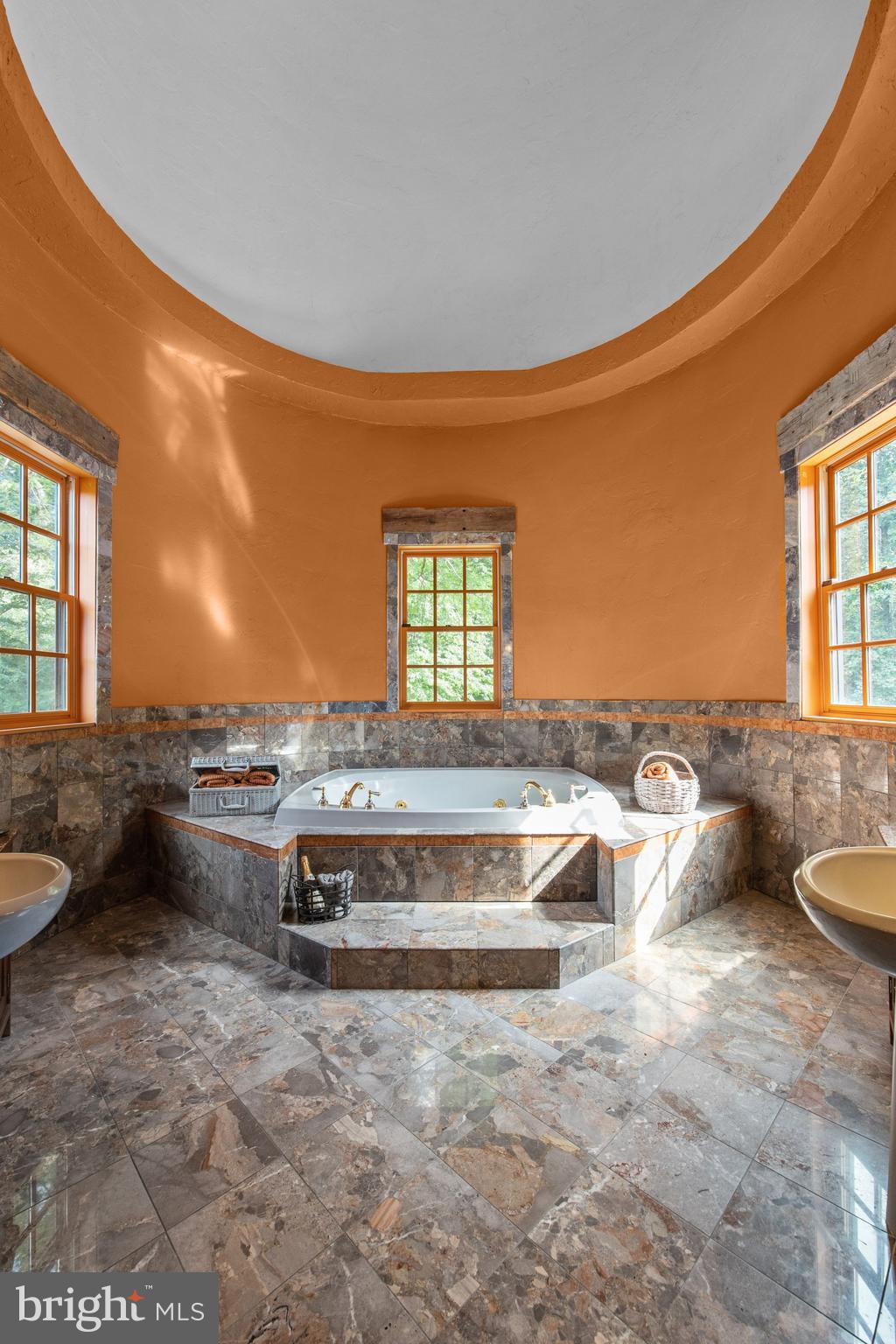 175 Pleasant Valley Road Titusville, NJ 08560 - Photo 47 of 137 1st Master 29' Soaring Ceiling in Silo Over Tub