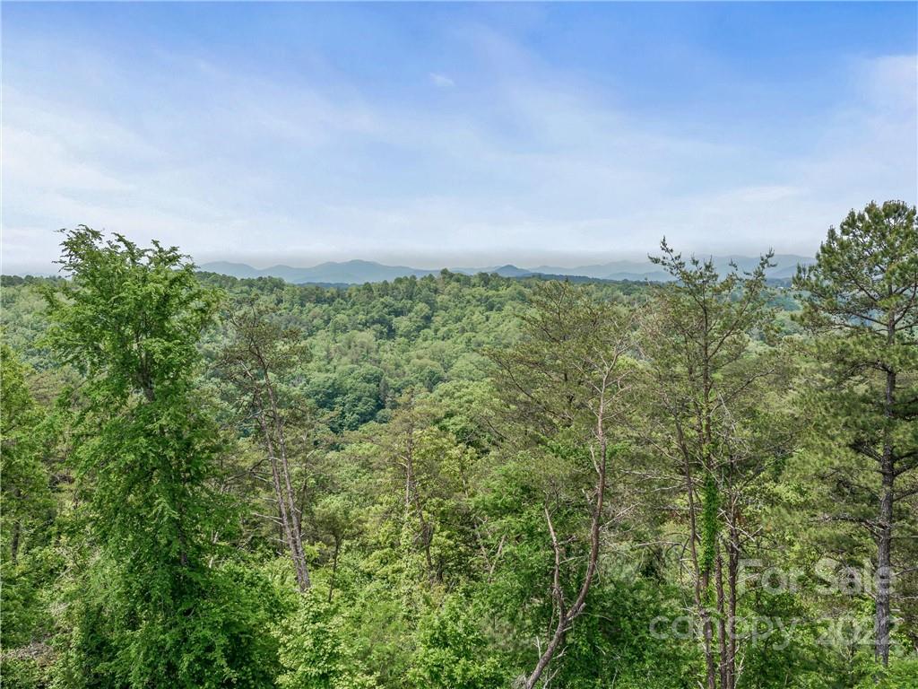 42 Kuykendall Road Alexander, NC 28701 - Photo 18 of 25 Gallery Image 18