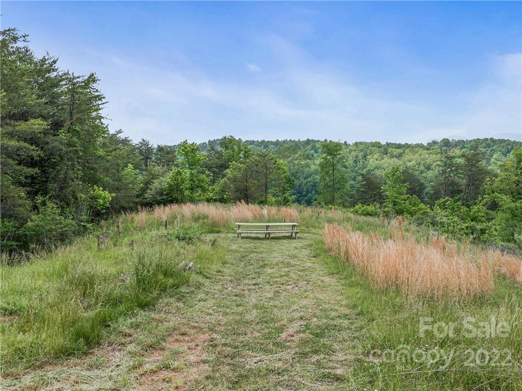 42 Kuykendall Road Alexander, NC 28701 - Photo 6 of 25 Gallery Image 6
