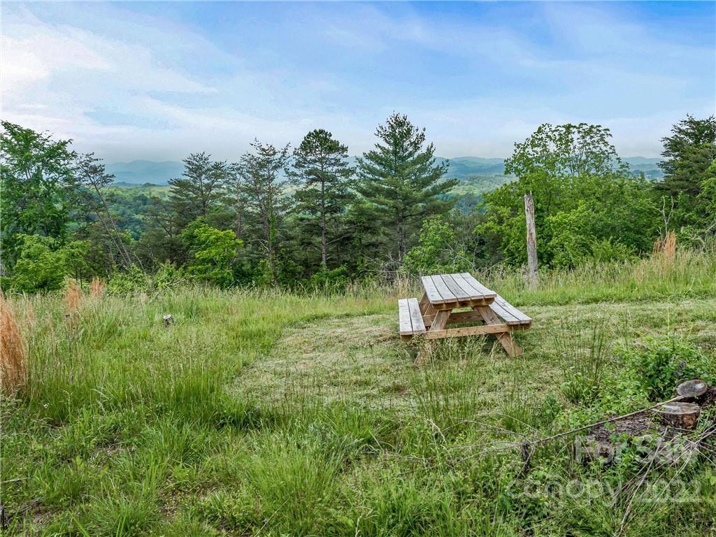 42 Kuykendall Road Alexander, NC 28701 - Photo 7 of 25 Gallery Image 7