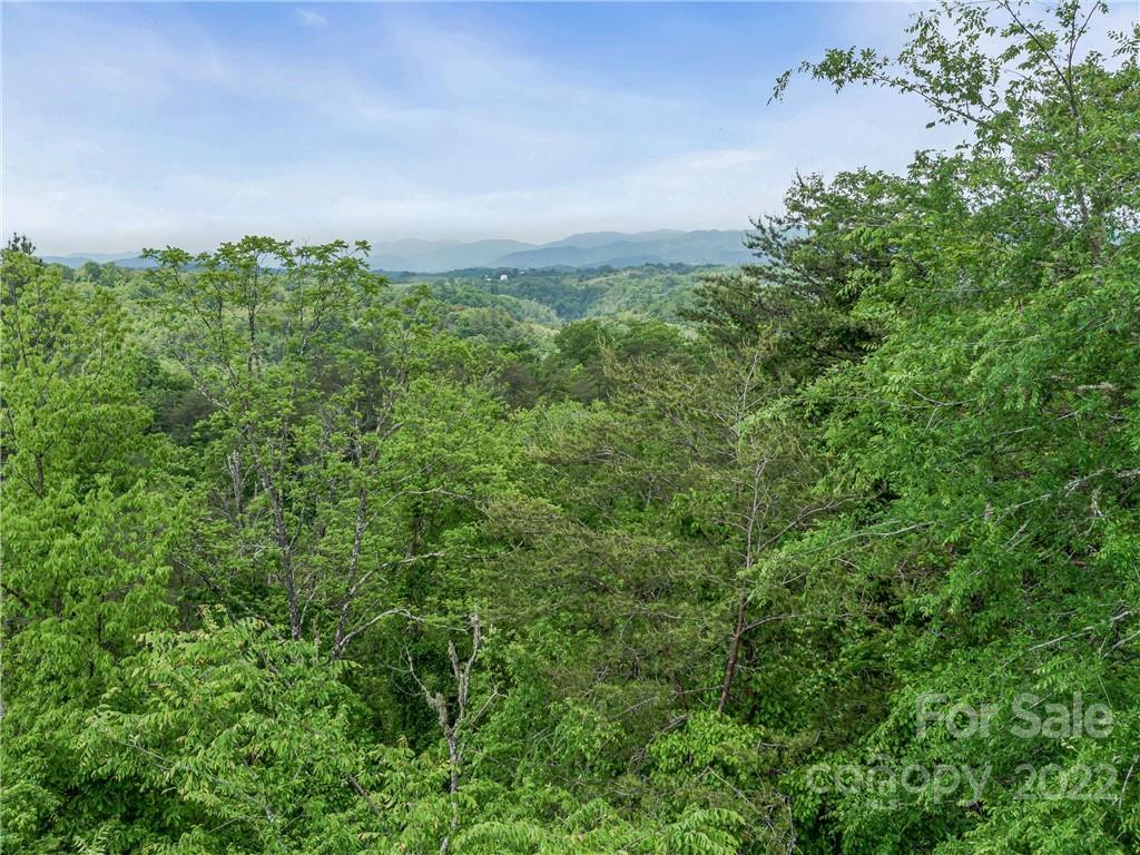 42 Kuykendall Road Alexander, NC 28701 - Photo 10 of 25 Gallery Image 10