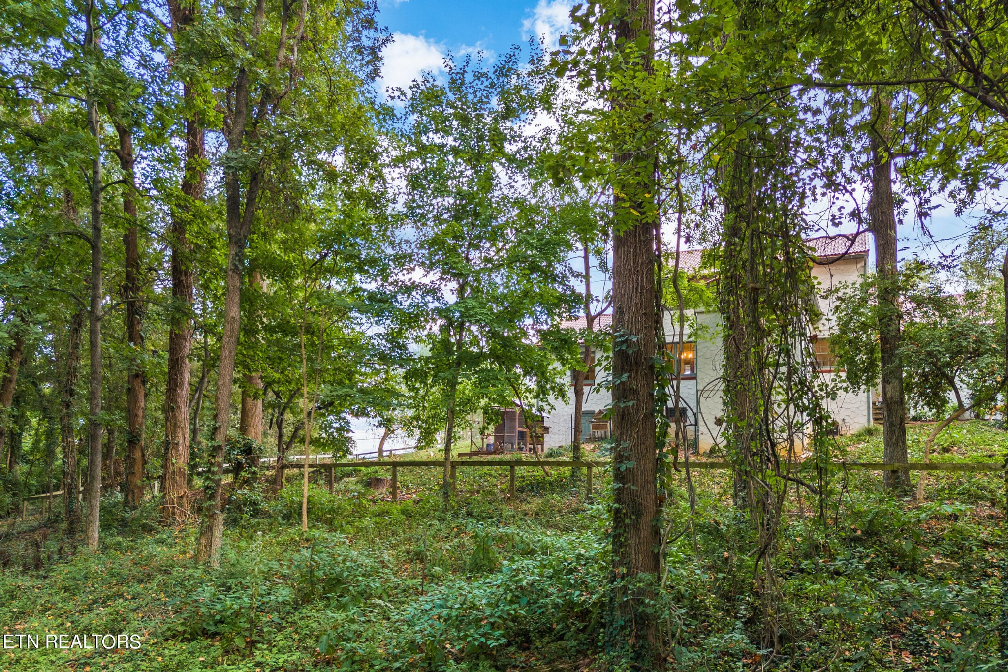 5801 East Sunset Road Knoxville, TN 37914 - Photo 37 of 45 Gallery Image 37