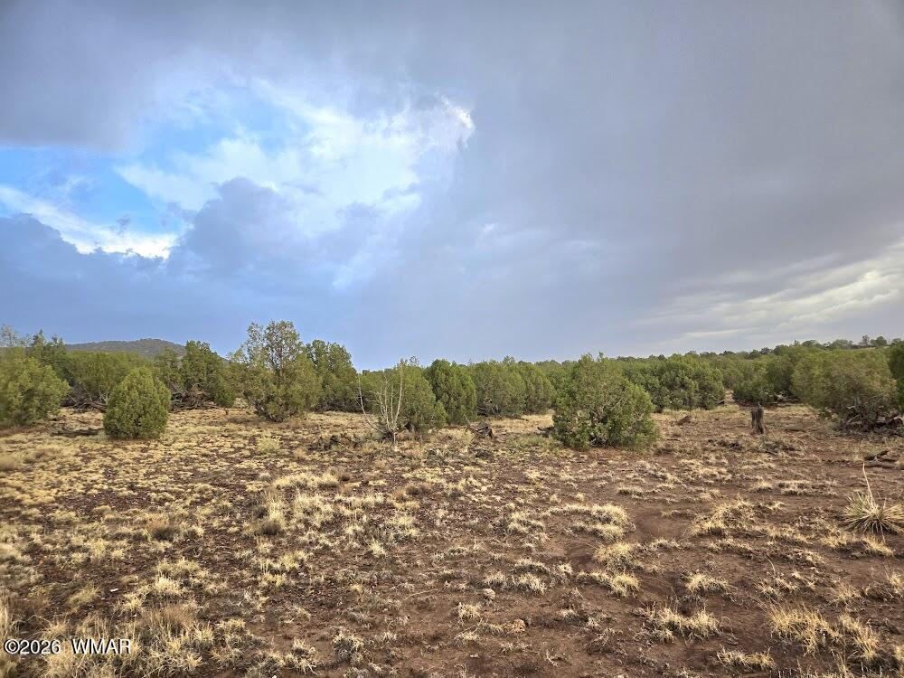 Lot 9 Pinon Valley Ranch Concho, AZ 85924 - Photo 10 of 12 a view of mountain with sunset