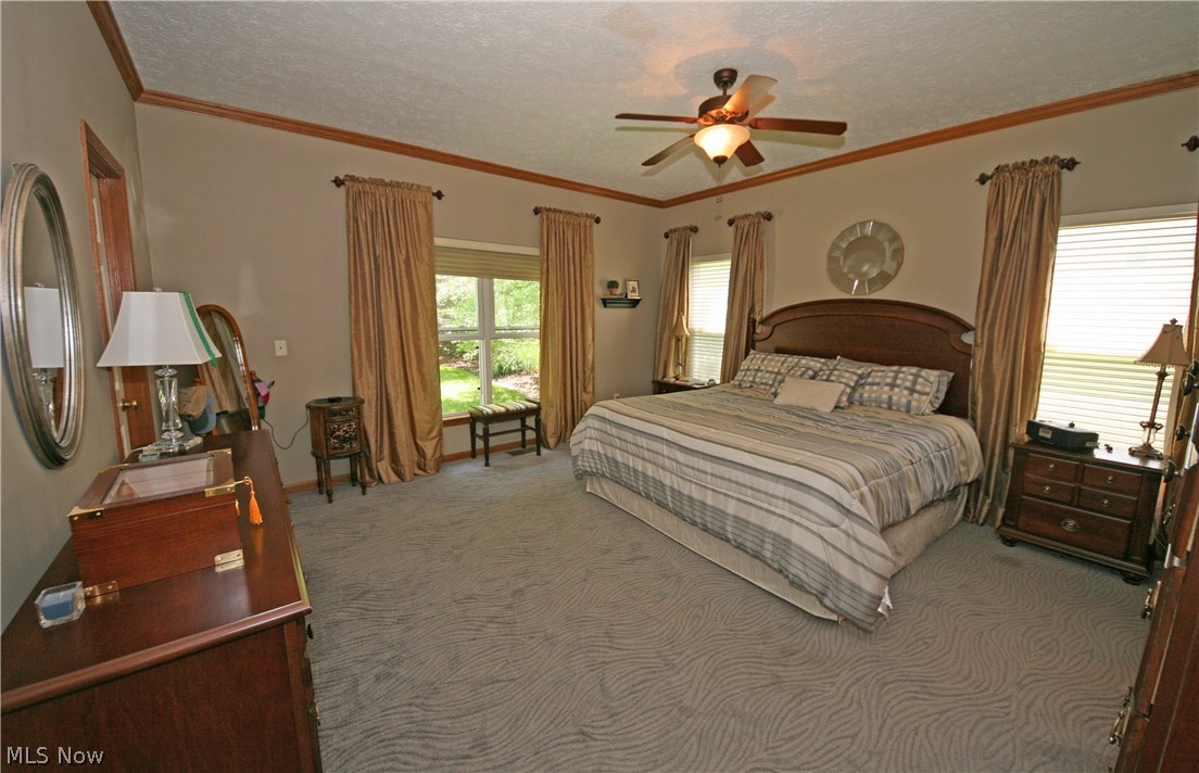 107 Timber Ridge Drive Elyria, OH 44035 - Photo 11 of 34 Spacious Master bedroom with 2 walk-in closets