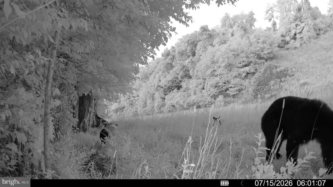 552 Wilson Road Parker, PA 16049 - Photo 27 of 60 Gallery Image 27