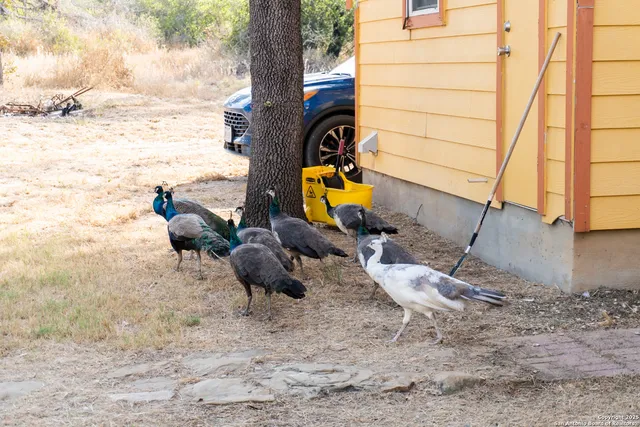 $400,000 | 102 East Rd Runner Drive, Somerset, TX 78069