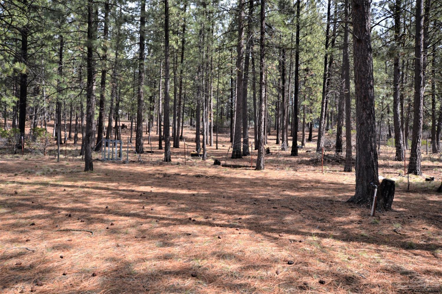 60176 Agate Road Bend, OR 97702 - Photo 19 of 21 a view of park with tree