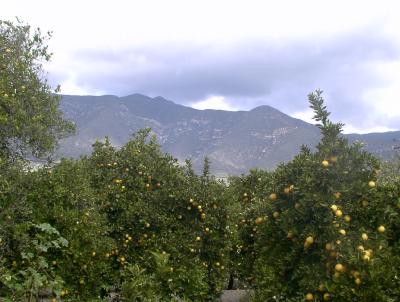 Mountain view