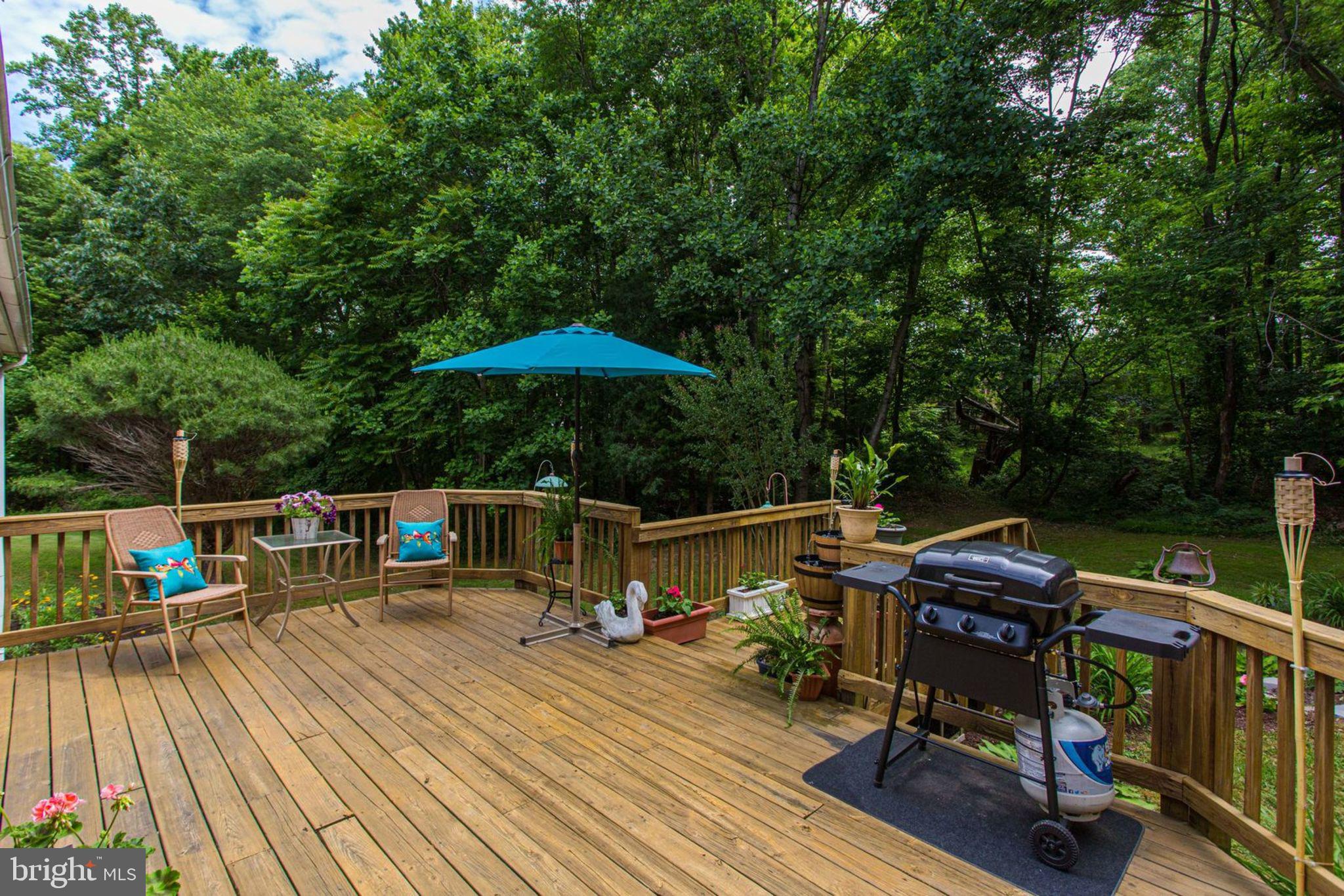 6800 Token Valley Road Manassas, VA 20112 - Photo 44 of 49 Private and Beautiful