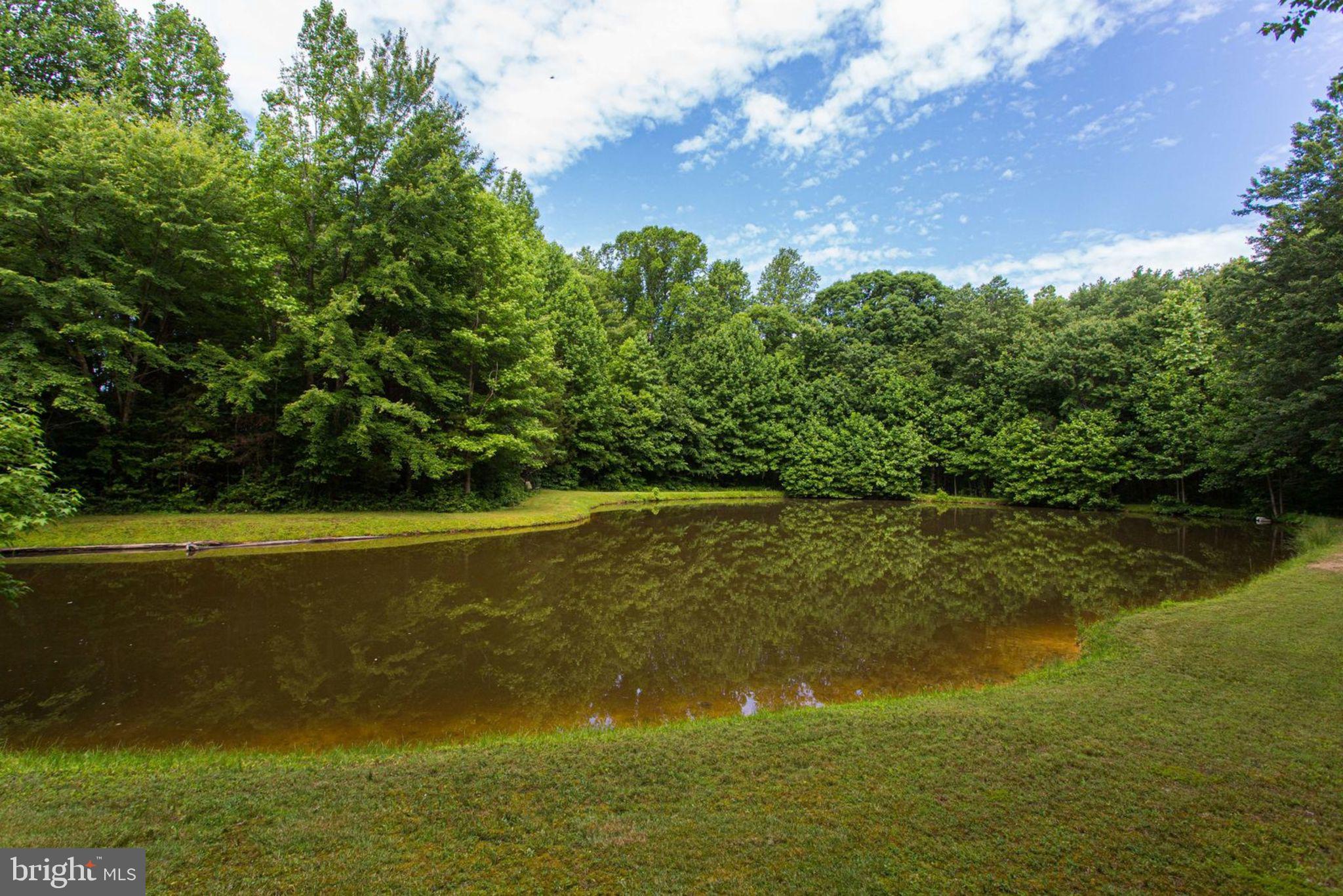 6800 Token Valley Road Manassas, VA 20112 - Photo 48 of 49 Pond View