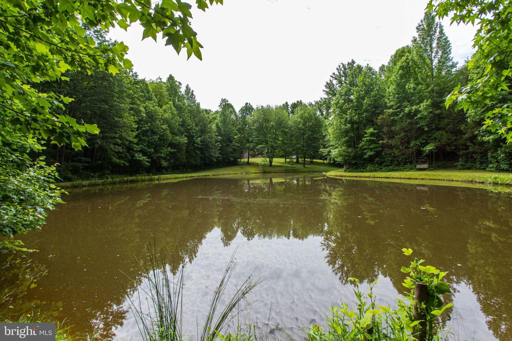 6800 Token Valley Road Manassas, VA 20112 - Photo 49 of 49 Pond View