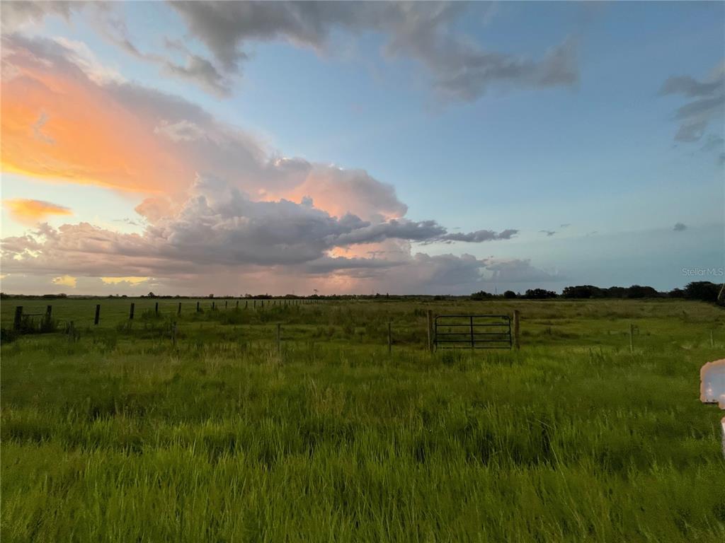 County Line Road East Fort Meade, FL 33841 - Photo 1 of 1 a view of an outdoor space and a yard