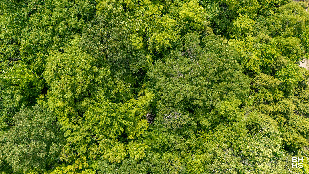0 Jackson Road Keene, NY 12942 - Photo 5 of 12 LandOnJacksonInKeene_A_Land_Above