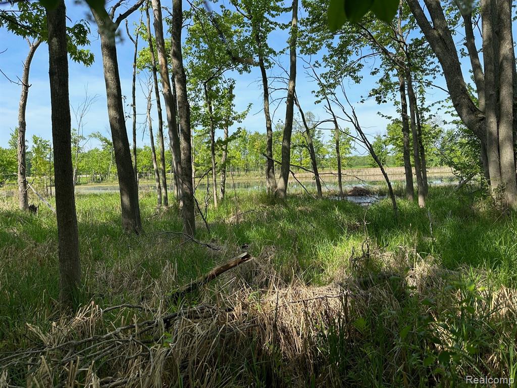 D North Holly Road Holly, MI 48442 - Photo 21 of 27