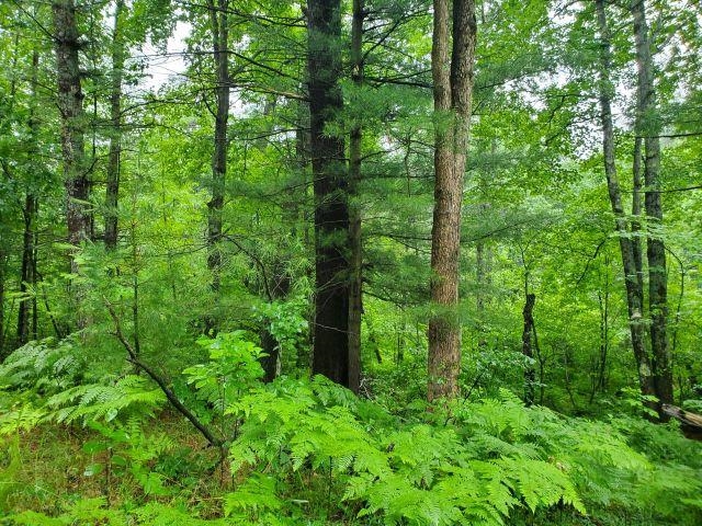 Silver Creek Road Prescott, MI 48756 - Photo 3 of 4 1943124-17a57941-acee-4f44-a49e-2206be140b78.JPG