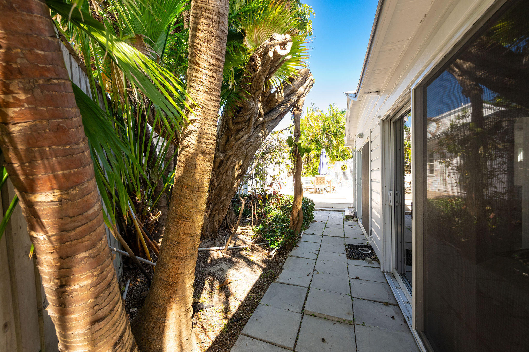 912 James Street, Unit 2 Key West, FL 33040 - Photo 24 of 25 a hallway with a plant in front of it