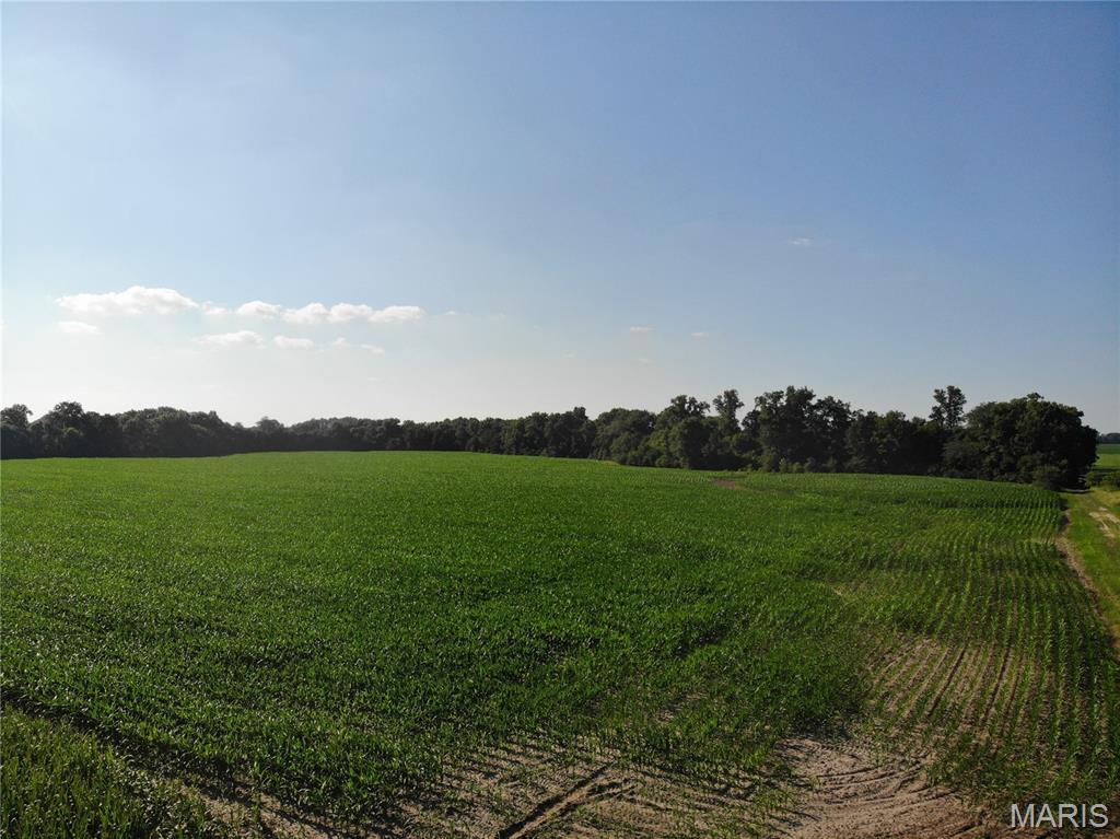 3601 Peachtree Road Salem, IL 62881 - Photo 7 of 10