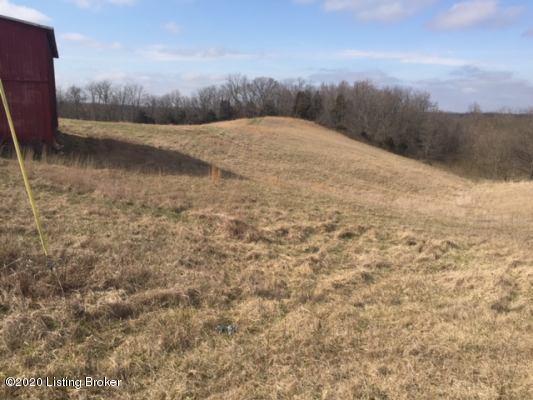 45 Wright's Ridge Road Milton, KY 40045 - Photo 3 of 14 IMG_5261