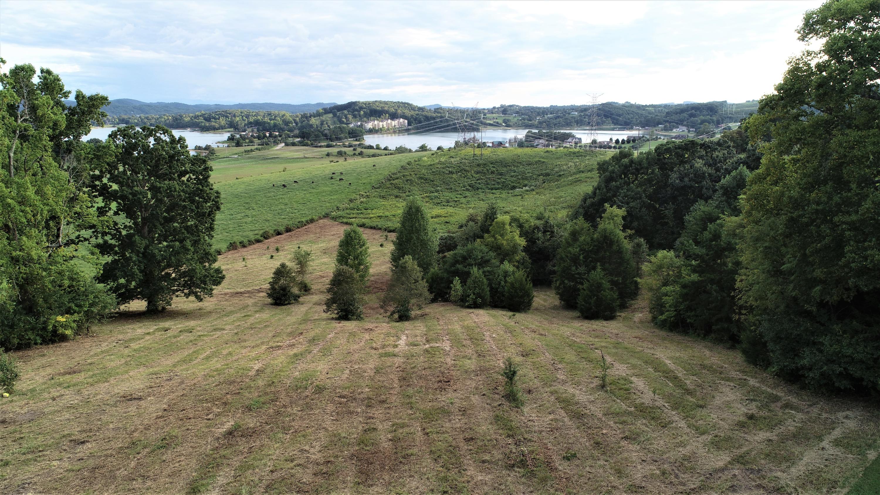 Strawberry Point Bean Station, TN 37708 - Photo 1 of 9 DJI_0003