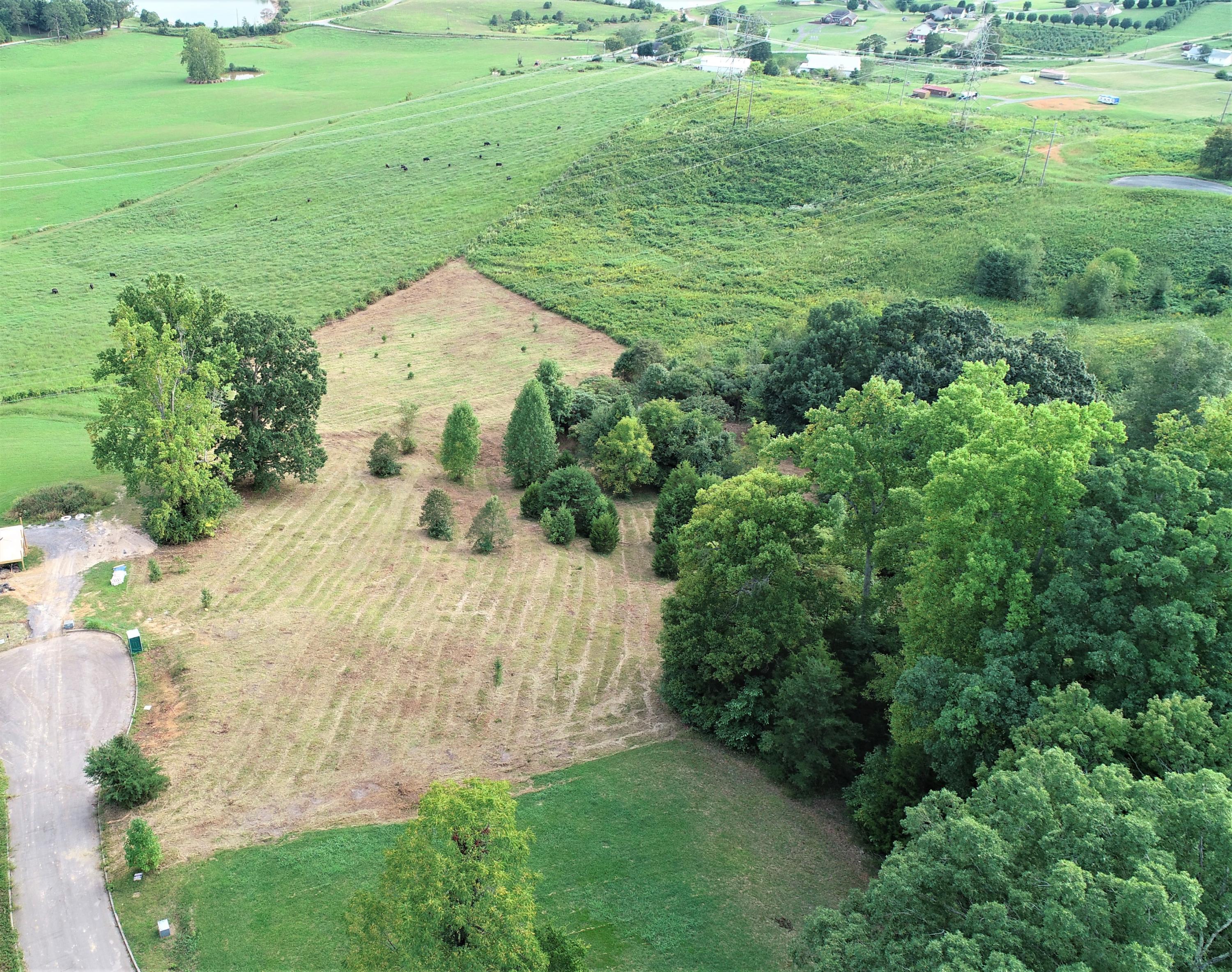 Strawberry Point Bean Station, TN 37708 - Photo 3 of 9 DJI_0004