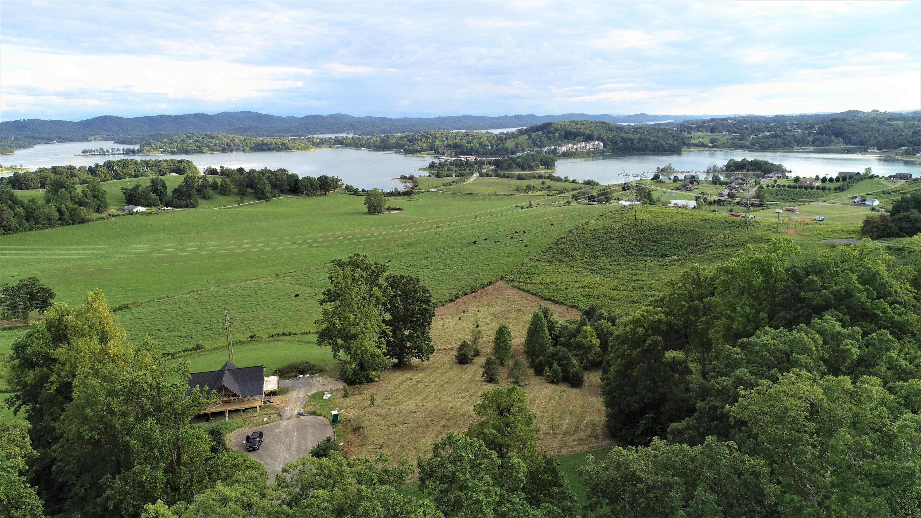 Strawberry Point Bean Station, TN 37708 - Photo 4 of 9 DJI_0006