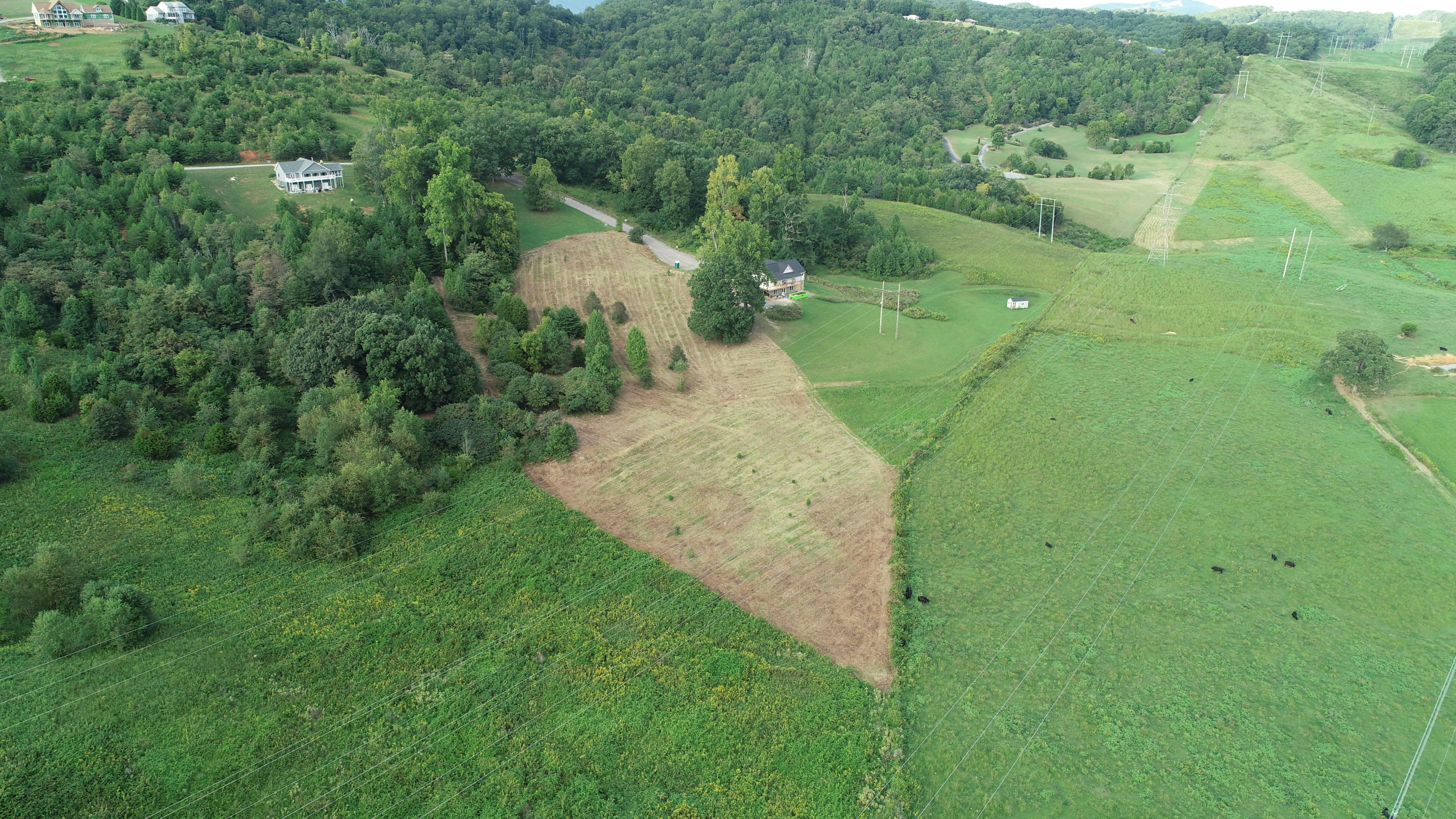 Strawberry Point Bean Station, TN 37708 - Photo 6 of 9 DJI_0008
