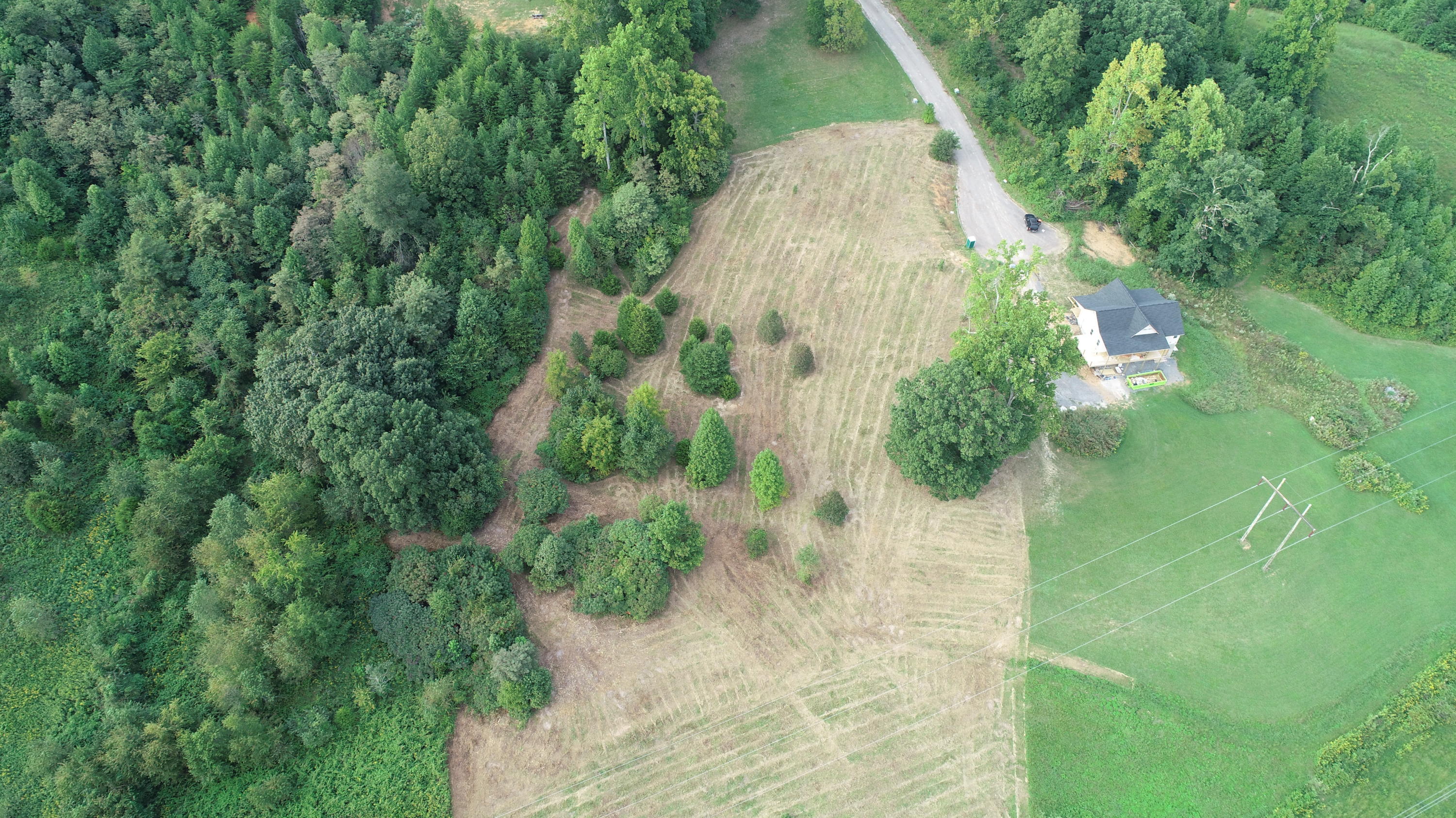 Strawberry Point Bean Station, TN 37708 - Photo 8 of 9 DJI_0013