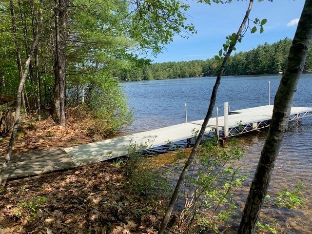 Tbd Raccoon Road Acton, ME 04001 - Photo 1 of 26 Gallery Image 1