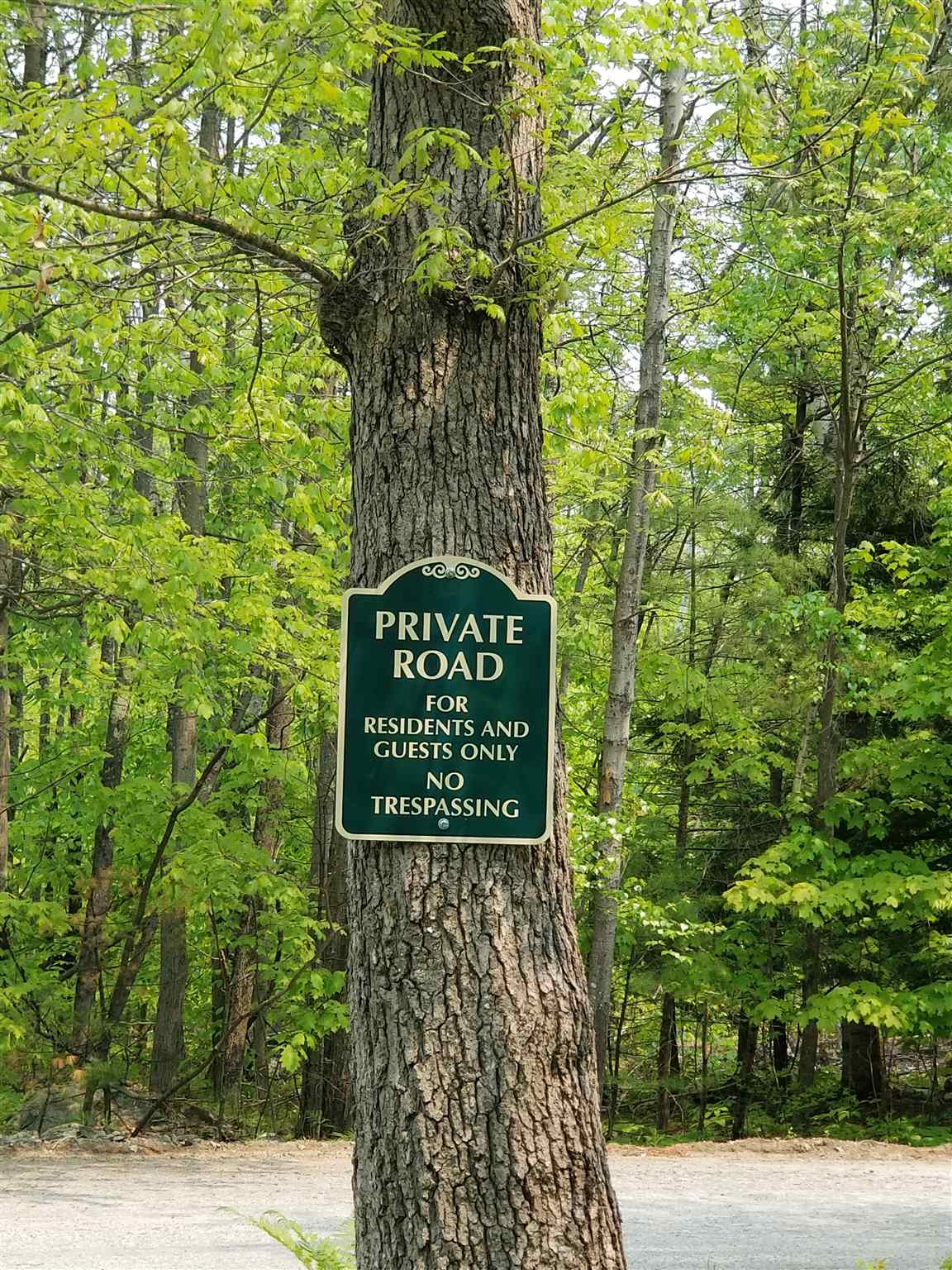 Tbd Raccoon Road Acton, ME 04001 - Photo 11 of 26 Gallery Image 11