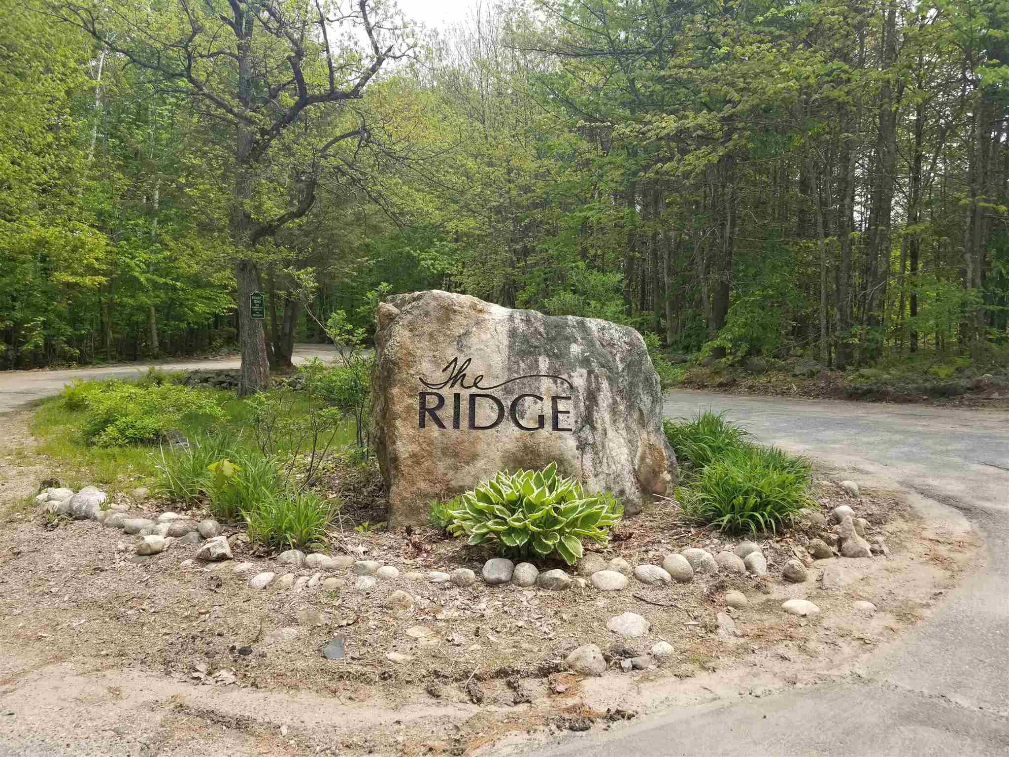 Tbd Raccoon Road Acton, ME 04001 - Photo 13 of 26 Gallery Image 13