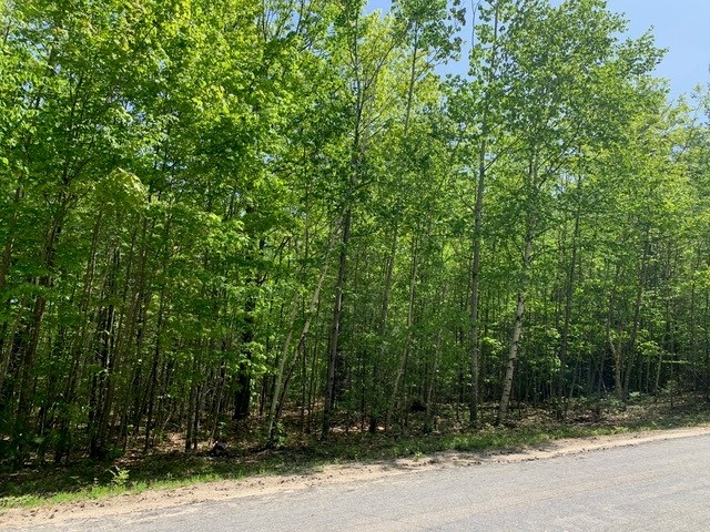 Tbd Raccoon Road Acton, ME 04001 - Photo 17 of 26 Gallery Image 17