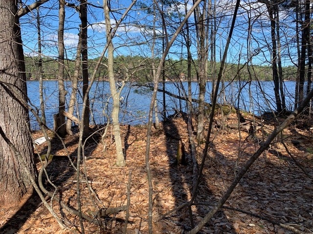 Tbd Raccoon Road Acton, ME 04001 - Photo 20 of 26 Gallery Image 20