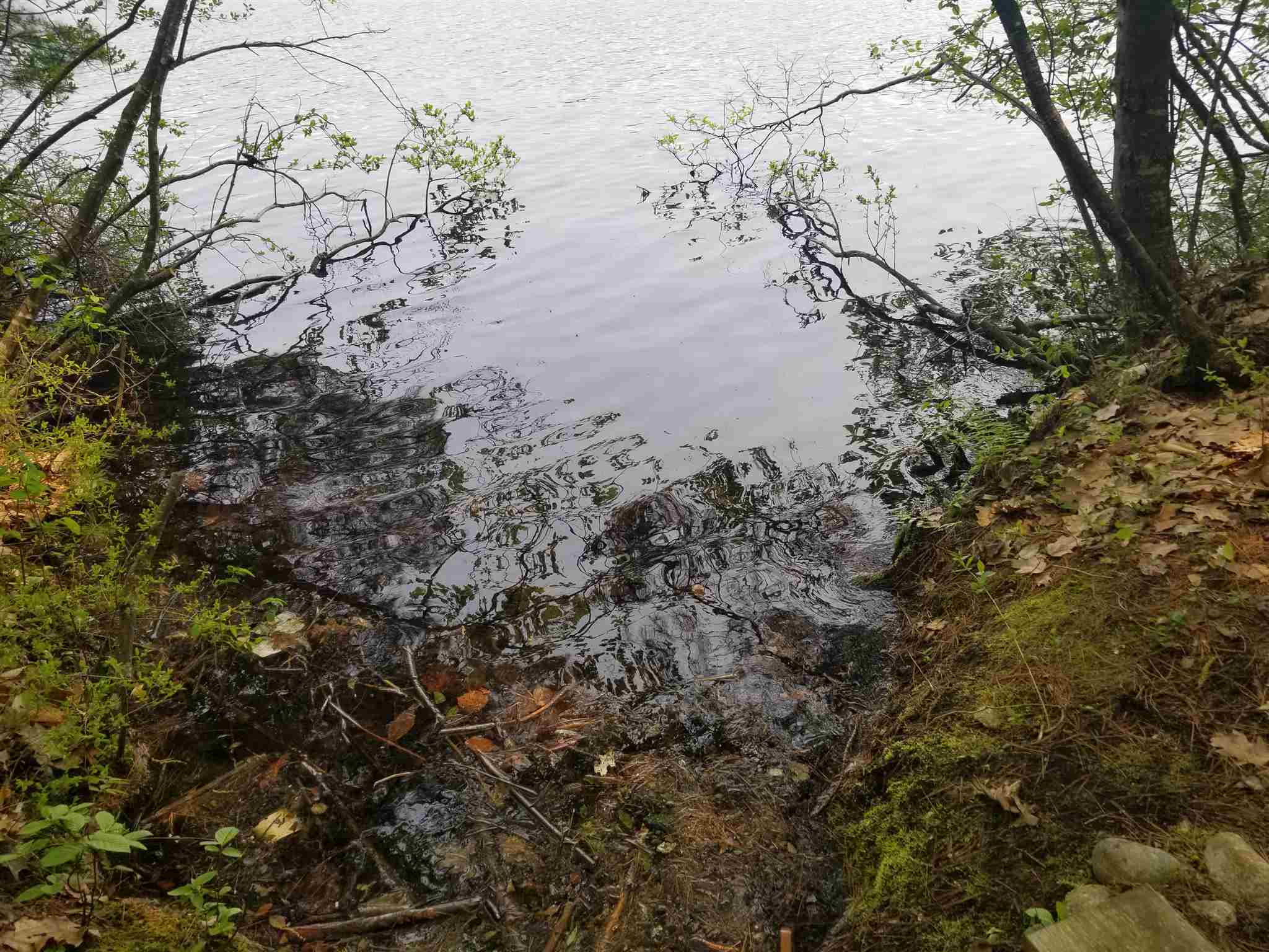 Tbd Raccoon Road Acton, ME 04001 - Photo 3 of 26 Gallery Image 3