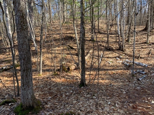 Tbd Raccoon Road Acton, ME 04001 - Photo 21 of 26 Gallery Image 21