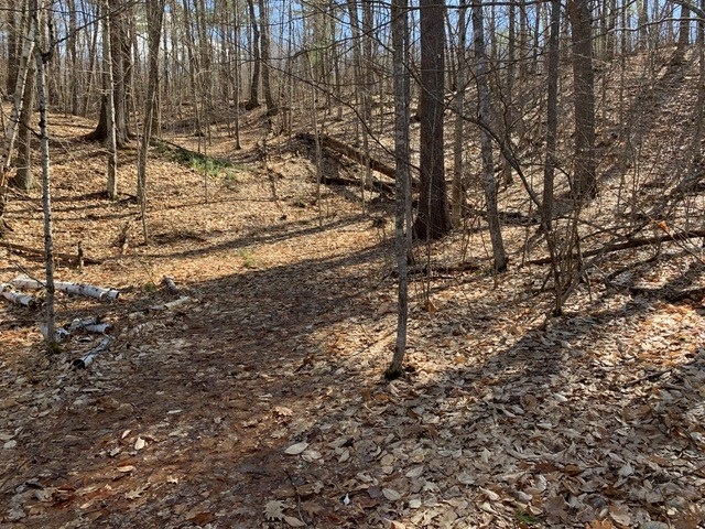 Tbd Raccoon Road Acton, ME 04001 - Photo 22 of 26 Gallery Image 22