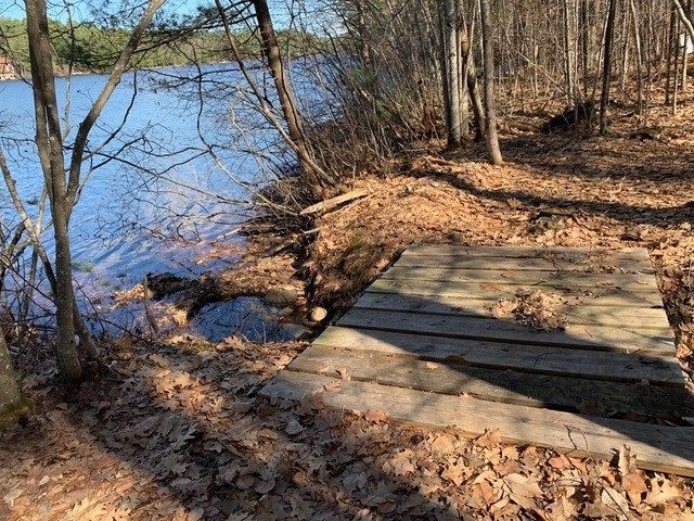 Tbd Raccoon Road Acton, ME 04001 - Photo 23 of 26 Gallery Image 23