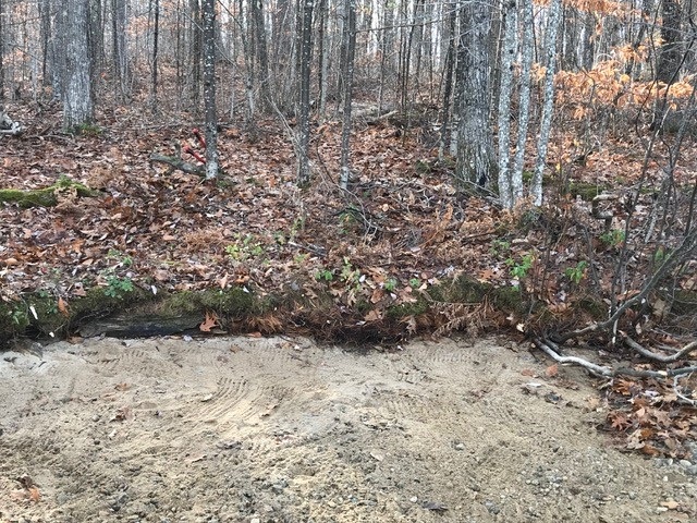 Tbd Raccoon Road Acton, ME 04001 - Photo 24 of 26 Gallery Image 24