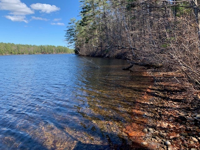 Tbd Raccoon Road Acton, ME 04001 - Photo 26 of 26 Gallery Image 26