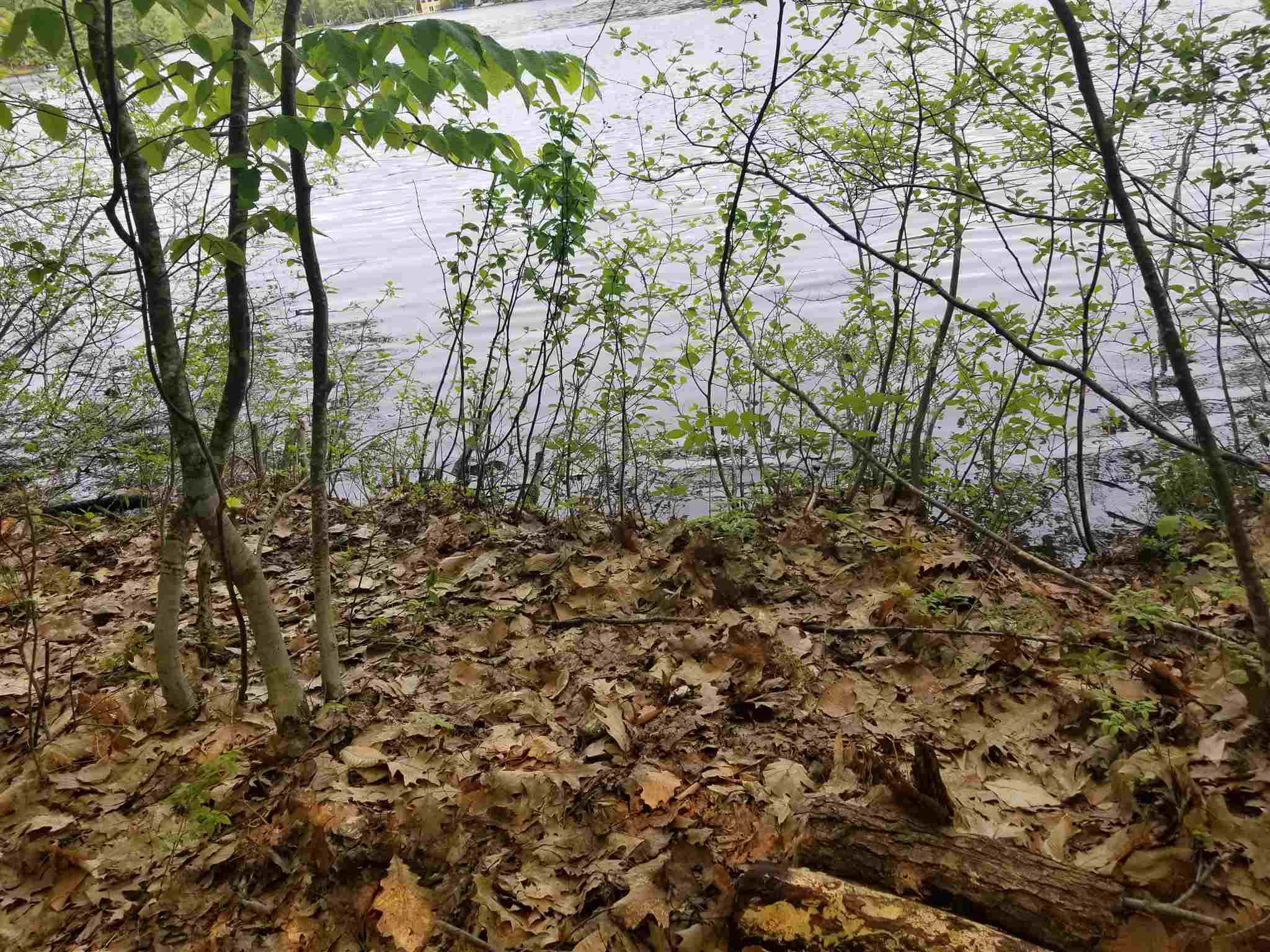 Tbd Raccoon Road Acton, ME 04001 - Photo 5 of 26 Gallery Image 5