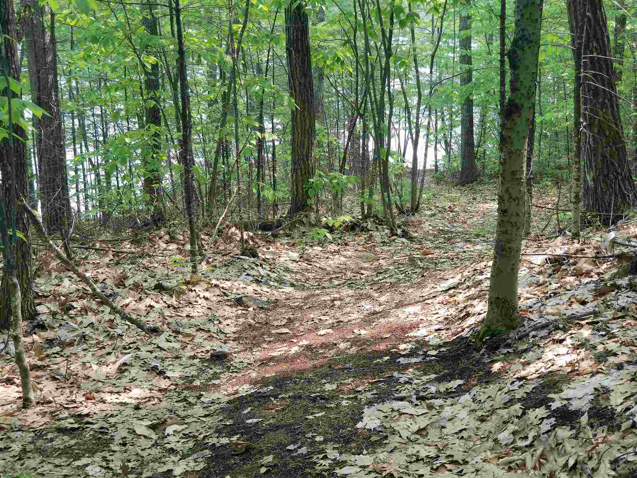 Tbd Raccoon Road Acton, ME 04001 - Photo 6 of 26 Gallery Image 6