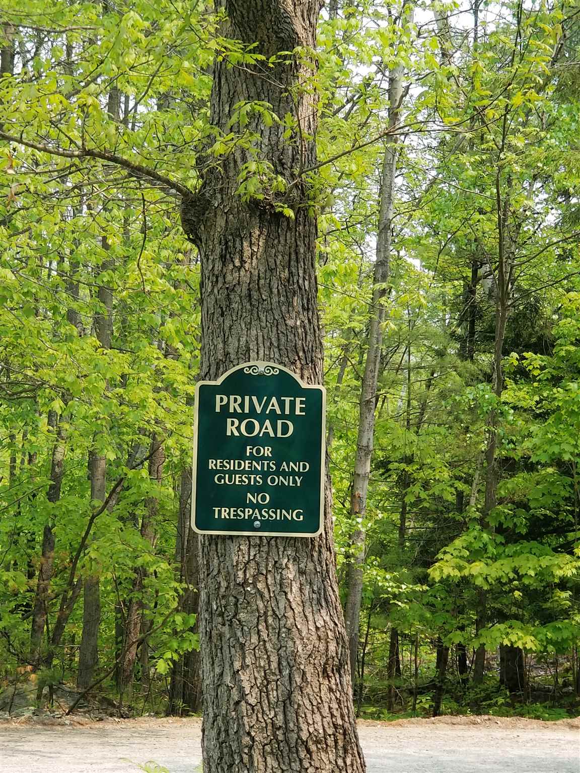 Tbd Raccoon Road Acton, ME 04001 - Photo 10 of 26 Gallery Image 10