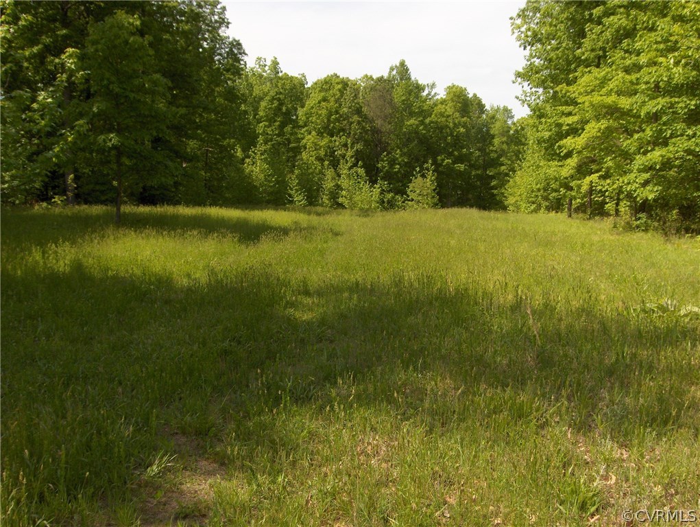 1050 Preservation Road Midlothian, VA 23113 - Photo 1 of 1 a view of a lake with a yard