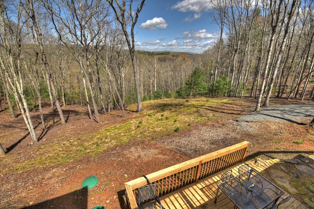 1276 Timber Lake Road Blue Ridge, GA 30513 - Photo 12 of 50 a view of a backyard with large trees