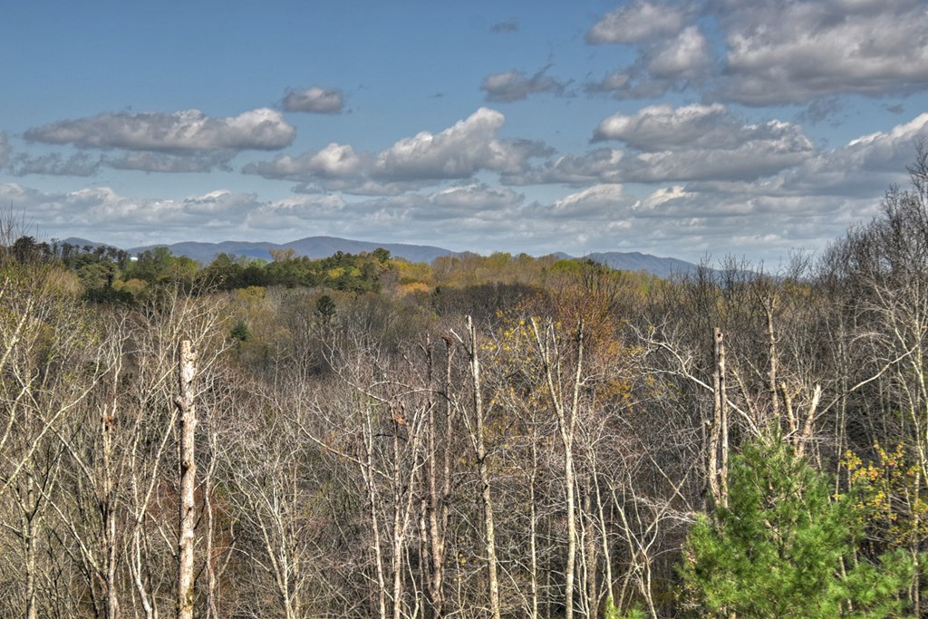 1276 Timber Lake Road Blue Ridge, GA 30513 - Photo 13 of 50 a view of lake and mountain
