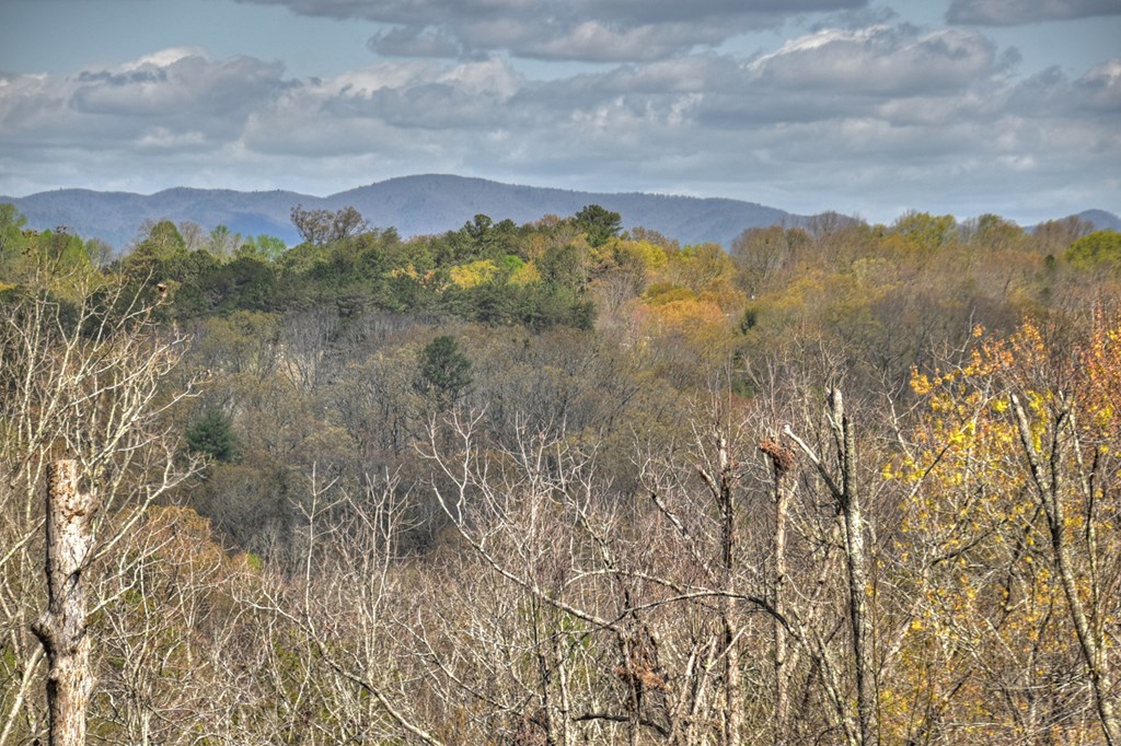 1276 Timber Lake Road Blue Ridge, GA 30513 - Photo 14 of 50 a view of a town with mountains in the background
