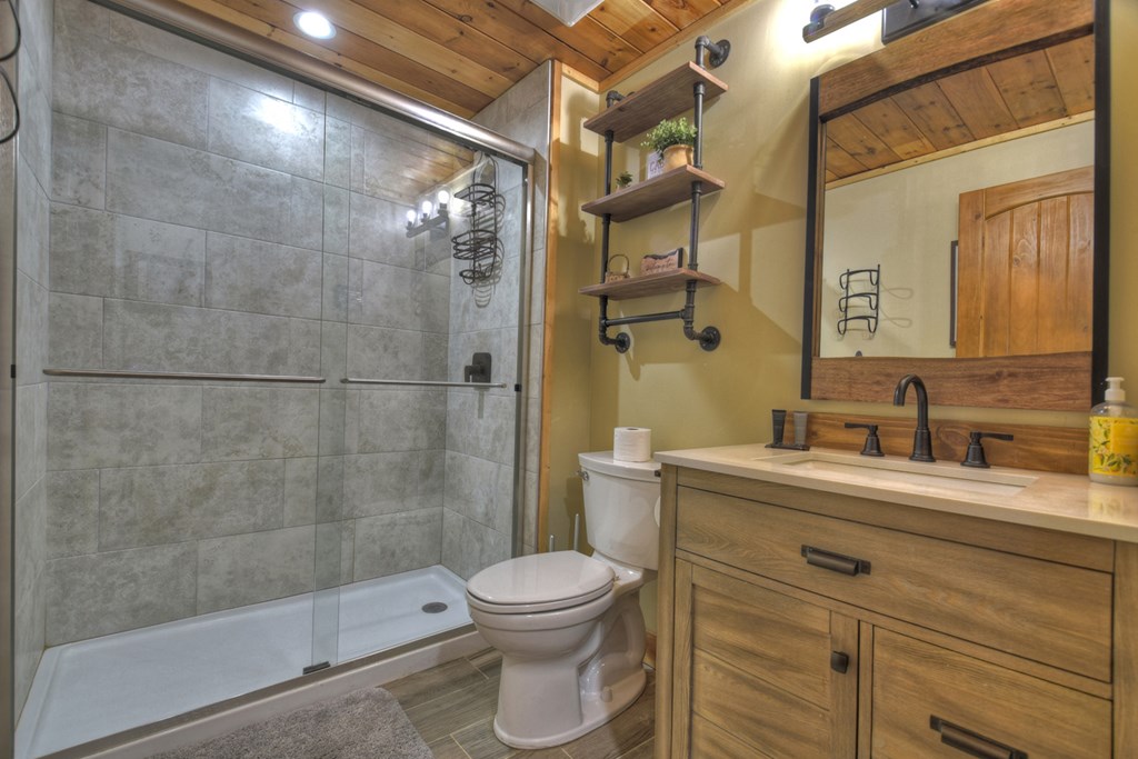 1276 Timber Lake Road Blue Ridge, GA 30513 - Photo 40 of 50 a bathroom with a sink a toilet and shower
